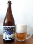 Pioneer beer - UFO 14, Session India Pale Ale lahev a sklenice